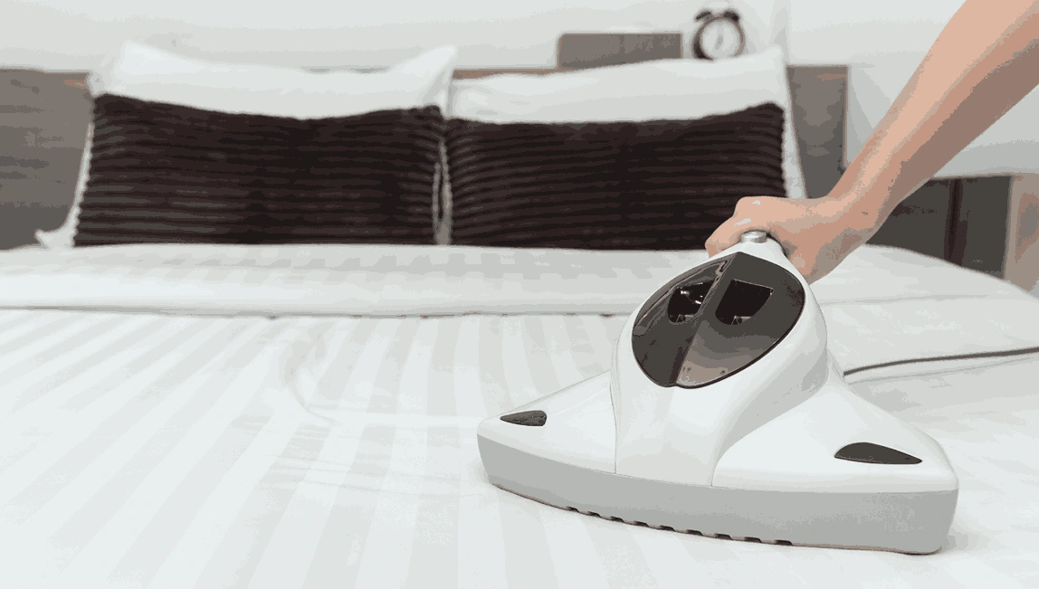 Professional Mattress Cleaning Bunkers Hill